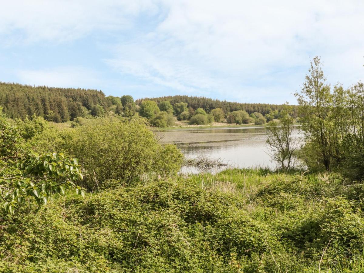 Villa Bwlch Y Gwynt Bach Llangefni Esterno foto